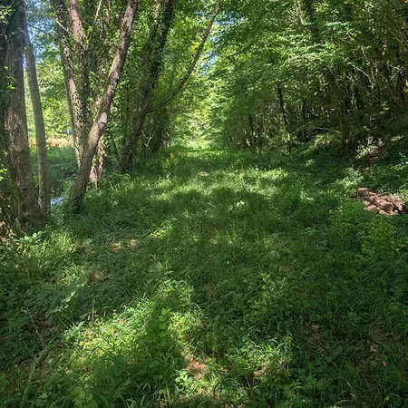 Du Domaine Du Moulin De La Roque