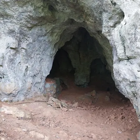 Du Domaine Du Moulin De La Roque